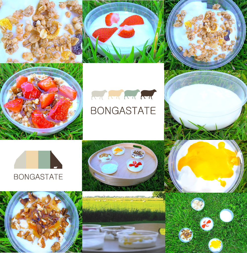 Schapenyoghurt van Bongastate