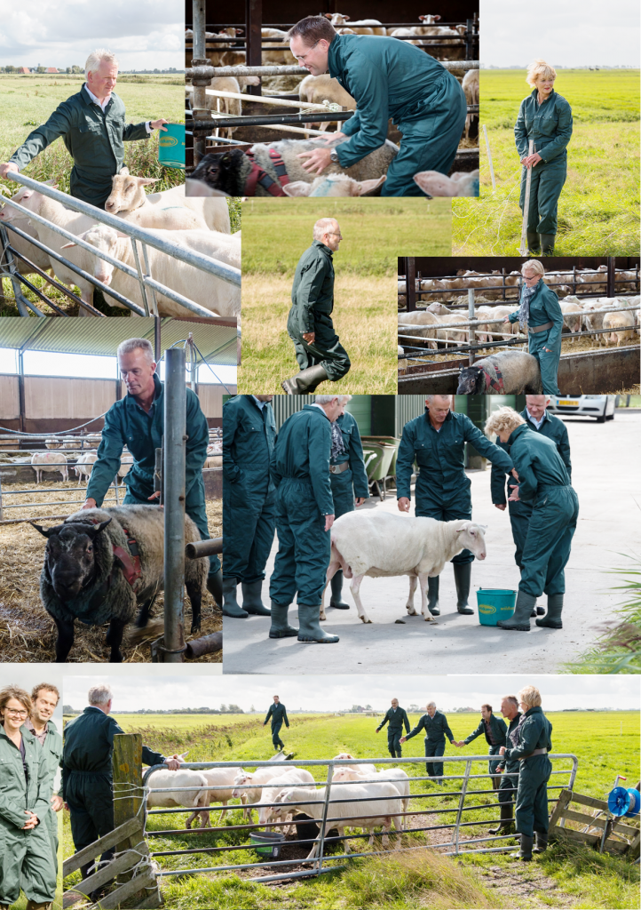 140830 RvT CVO ZWFryslân op Bongastate