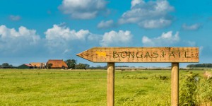 wegwijzer naar bongastate